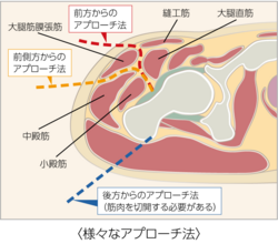 医療法人藍整会 なか整形外科京都北野本院　院長 田巻 達也 先生